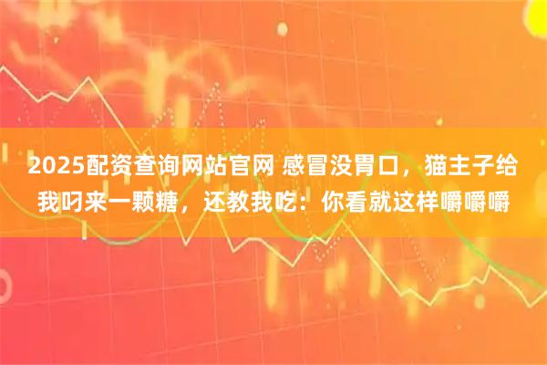 2025配资查询网站官网 感冒没胃口，猫主子给我叼来一颗糖，还教我吃：你看就这样嚼嚼嚼
