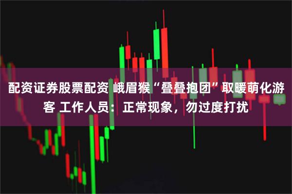 配资证券股票配资 峨眉猴“叠叠抱团”取暖萌化游客 工作人员：正常现象，勿过度打扰