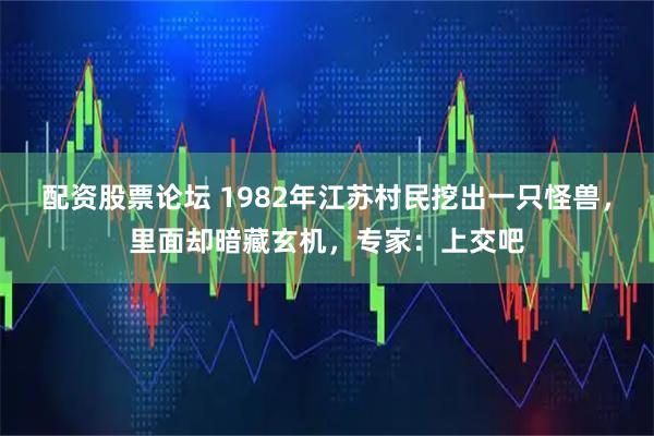 配资股票论坛 1982年江苏村民挖出一只怪兽，里面却暗藏玄机，专家：上交吧