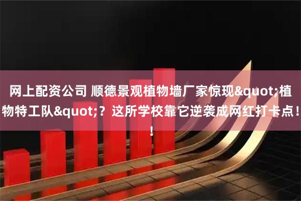 网上配资公司 顺德景观植物墙厂家惊现"植物特工队"？这所学校靠它逆袭成网红打卡点！
